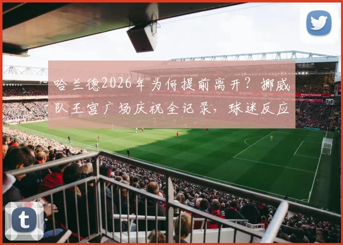 哈兰德2026年为何提前离开？挪威队王宫广场庆祝全记录，球迷反应一览
